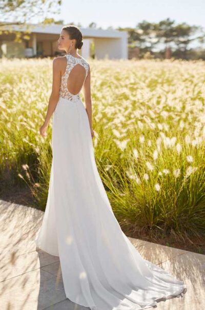 Rosa Clara Sany back